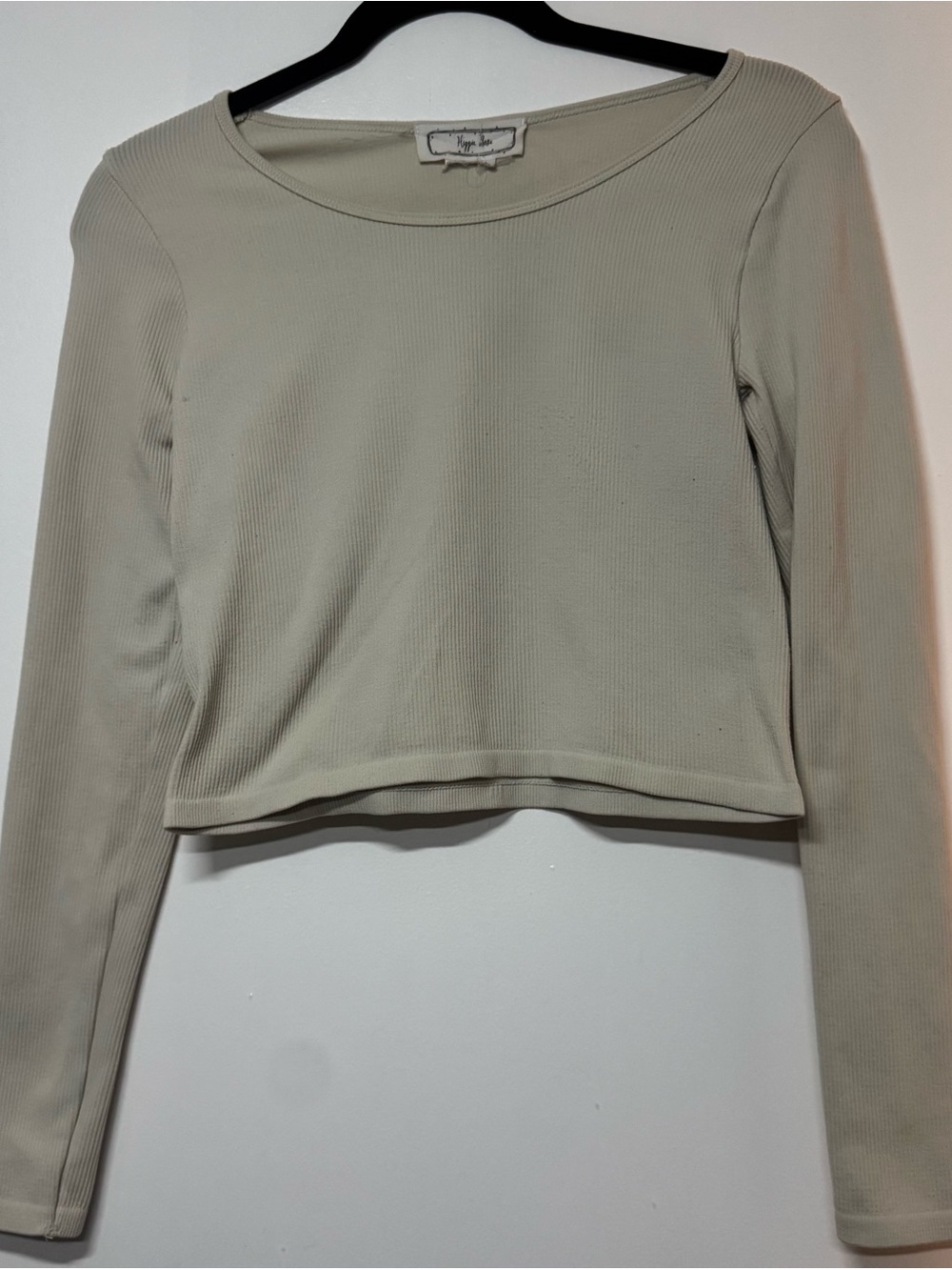 Hippie Rose Ribbed Long-Sleeve Crop Top in Beige